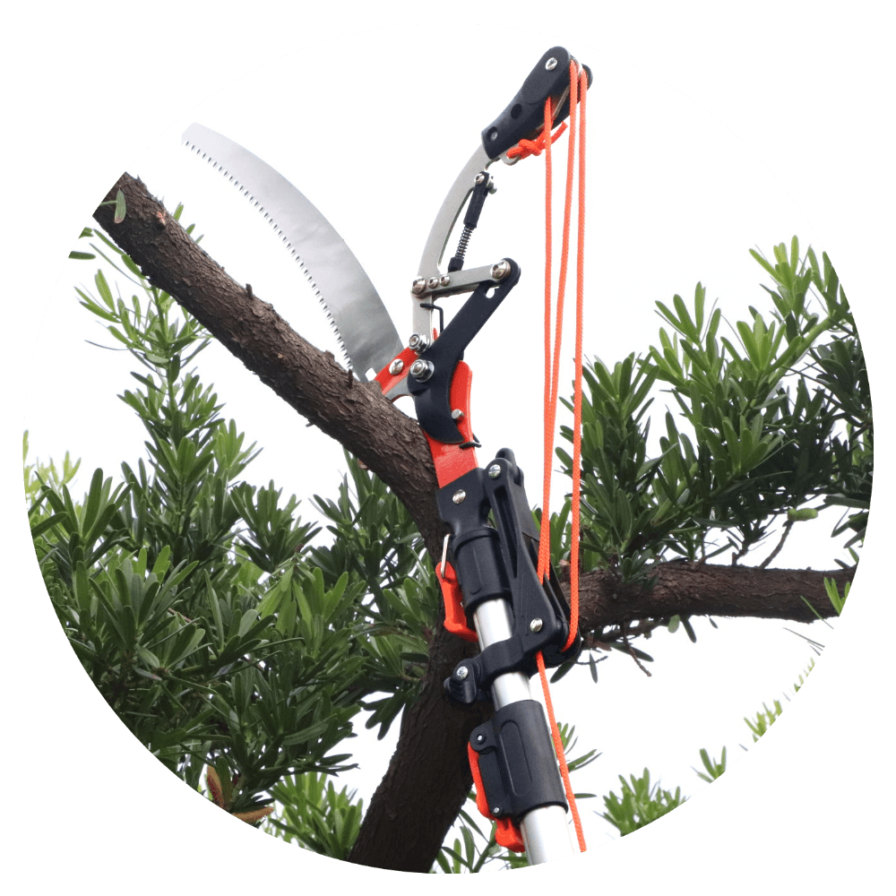 TREE PRUNER WITH HANDLE