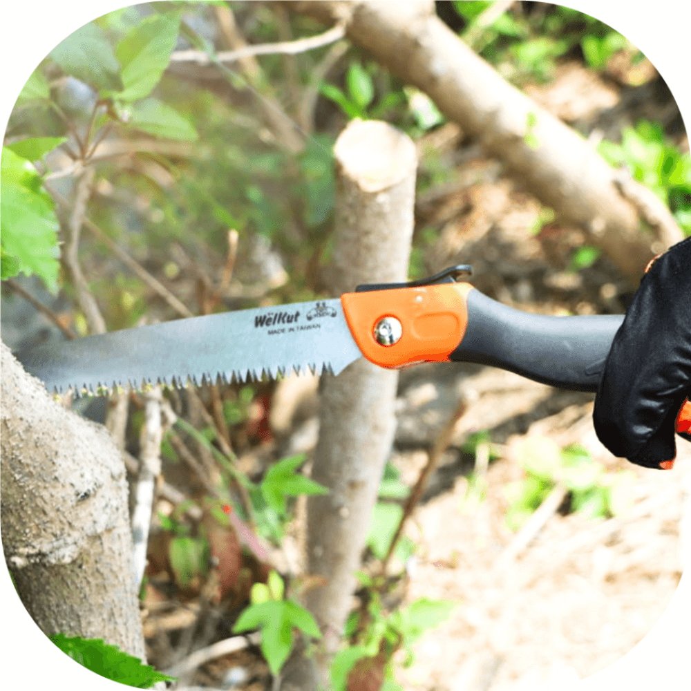 HAND SAW