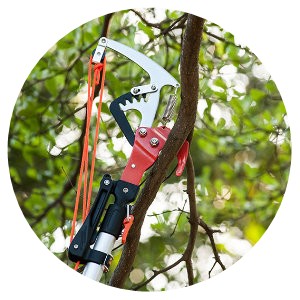 TREE PRUNER