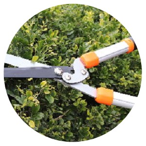 Non-Telescopic Handle - RW