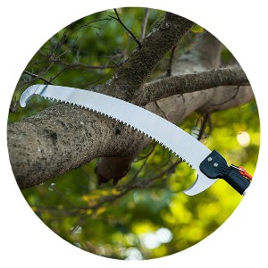 HIGH BRANCH PULL SAW